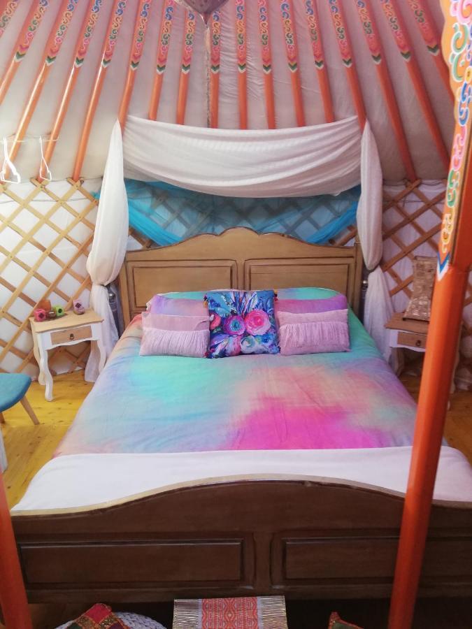 Отель Yurta De Arico Арико-Вьехо Экстерьер фото